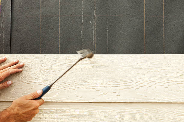 Best Stucco Siding  in Orting, WA